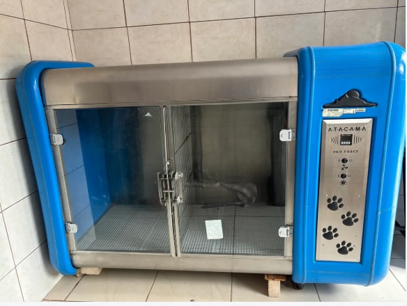 Máquina para secar cachorro ATACAMMA dual force