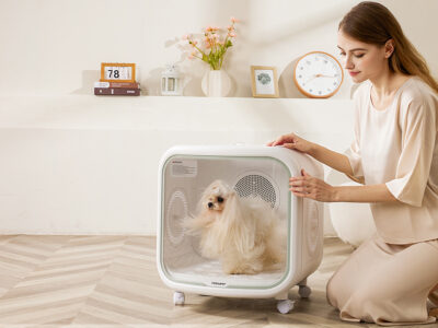 Secadora automática estressa o animal?